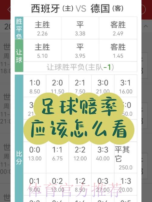 世界杯投注赔率与收益分析指南 世界杯投注赔率与收益分析指南